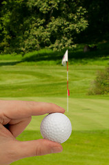 Image showing Hand With Golf Ball