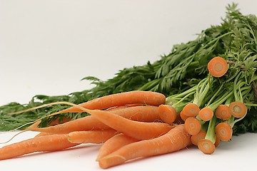 Image showing Carrots