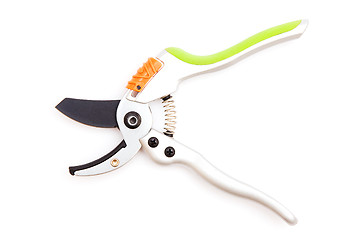 Image showing Garden pruner