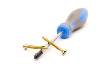 Image showing Screwdriver and yellow screws 