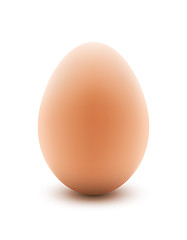 Image showing Egg