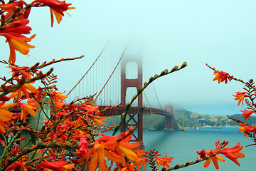 Image showing Golden Gate, San Fransisco, California, USA