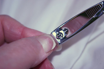 Image showing trimming nails