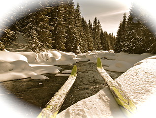 Image showing Crosscountry skiing.