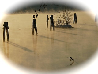 Image showing Skien river on a cold winter day