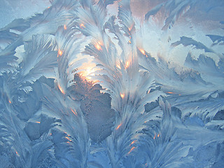 Image showing frost and sun