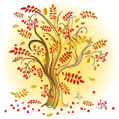 Image showing Autumn  colorful tree