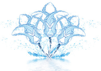 Image showing Flowers made of water