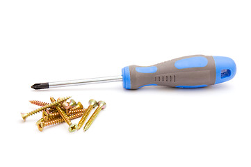 Image showing Screwdriver and yellow screws 