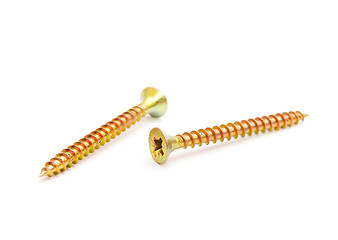 Image showing Two yellow screws