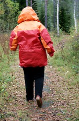 Image showing Overweight woman hiking