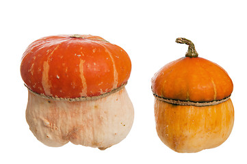 Image showing Two decorative pumpkins, it is isolated on white