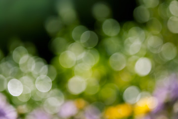 Image showing natural bokeh background