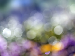 Image showing natural bokeh background