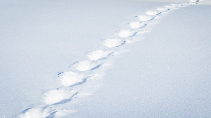 Image showing winter scenery