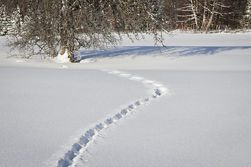 Image showing winter scenery