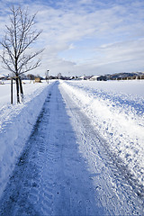 Image showing winter scenery