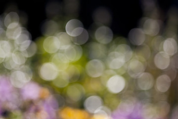 Image showing natural bokeh background