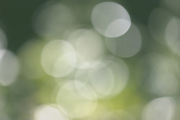 Image showing natural bokeh background