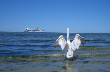 Image showing Ferry in Baltic Sea