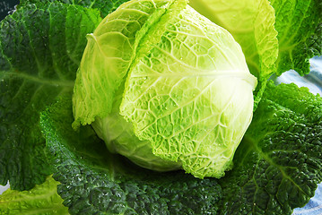 Image showing savoy cabbage