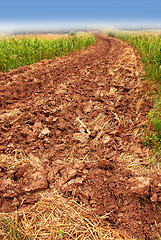 Image showing Plowed field