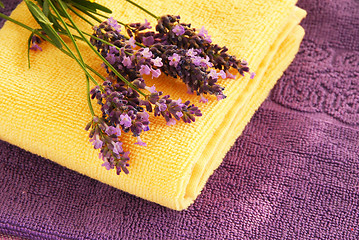 Image showing Colorful towels