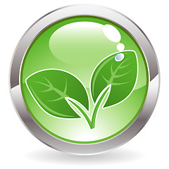 Image showing Gloss Button with leaves