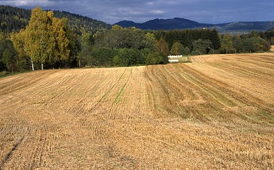 Image showing Sørkedalen in Oslo.