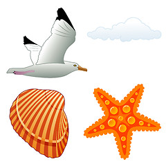 Image showing Seagull and shell