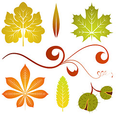 Image showing Autumn leaves