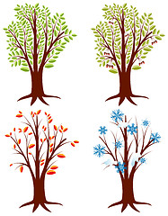 Image showing Tree Seasons