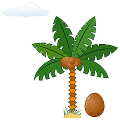 Image showing Palm tree