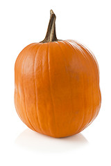 Image showing Halloween pumpkin