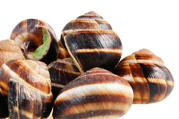 Image showing Bourgogne snails with garlic butter