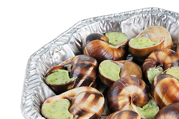 Image showing Bourgogne snails with garlic butter