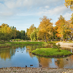 Image showing Autumn park