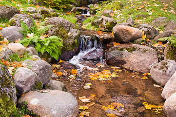 Image showing Stream among stones in autumn park