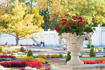 Image showing Flowerpot with flowers in autumn park