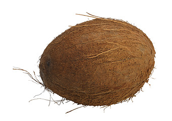 Image showing Coconut