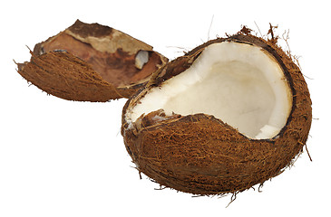 Image showing Split coconut