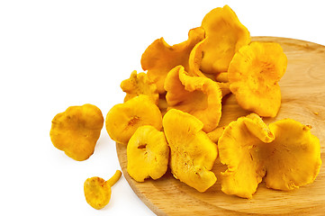 Image showing Chanterelles