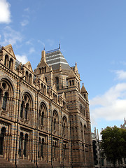 Image showing london nature museum