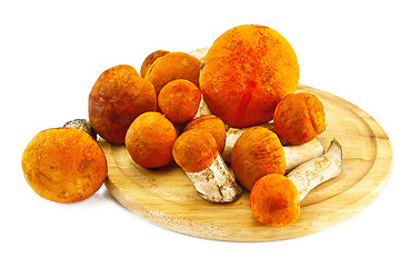 Image showing Mushrooms on a round board