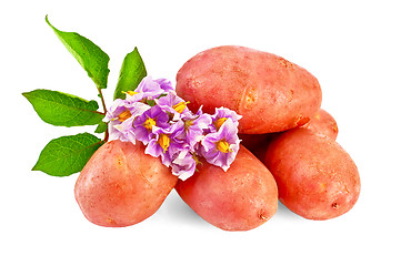 Image showing Potatoes red with a flower