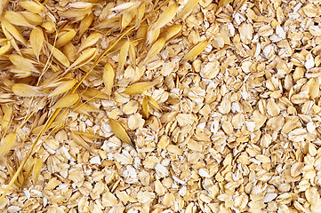 Image showing The texture of oatmeal with oat stalks left