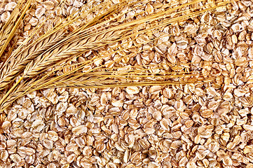 Image showing The texture of rye flakes with stalks of rye