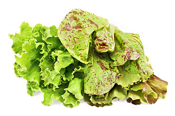 Image showing Three beam lettuce