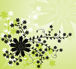 Image showing Grunge background flower, elements for design, vector