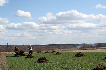 Image showing Rural landscape